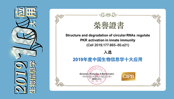 楊力研究組合作研究“環形RNA在天然免疫中的重要功能”入選2019年度“中國生物信息學十大應用”
