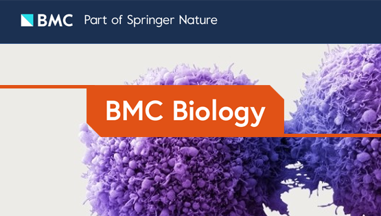 楊力研究組合作揭示轉錄組m<sup>5</sup>C修飾及其參與mRNA翻譯調控的功能