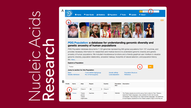 中國科學院上海營養與健康研究院研究人員發布首個全球人群基因組多樣性和祖源信息數據庫