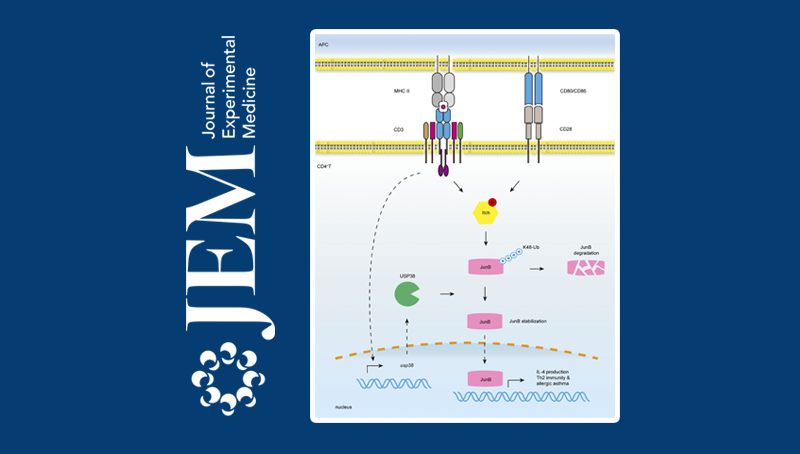 錢友存研究組報道調節哮喘發病的新機制