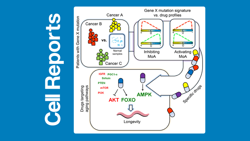 韓敬東研究組構建基于癌癥基因組學的非組織特異標簽的藥物重定位新方法