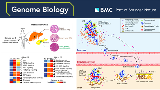 李虹、李亦學研究組合作破譯胰腺癌肝轉移的分子特征