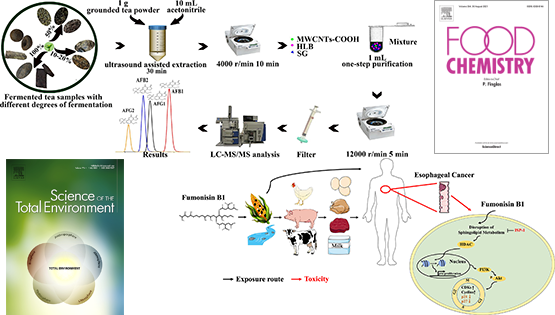 營養與健康所武愛波研究組在發酵茶黃曲霉毒素精準檢測與伏馬菌素致毒解毒新機制方面取得進展