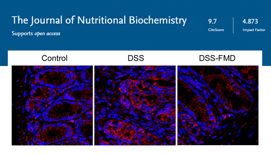 營養與健康所陳雁研究組發現改善炎癥性腸病（IBD）的營養干預方法