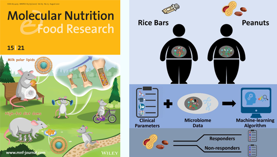 營養與健康所陳雁、林旭研究組利用腸道菌群分析和機器學習算法揭示精準營養在干預代謝綜合征中的作用