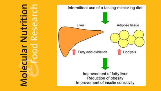 營養與健康所陳雁研究組發現間歇性節食可以改善脂肪肝