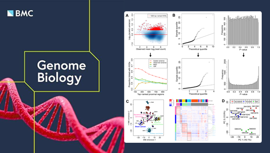 營養與健康所邵振研究組發展ChIP/ATAC-seq高變信號檢測的表觀組異質性分析統計模型HyperChIP