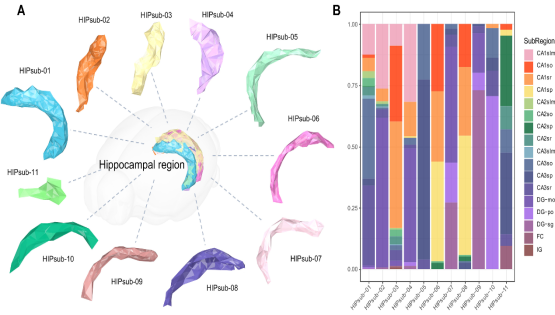 營養與健康所生物醫學大數據中心研發空間轉錄組數據多模態可視化工具