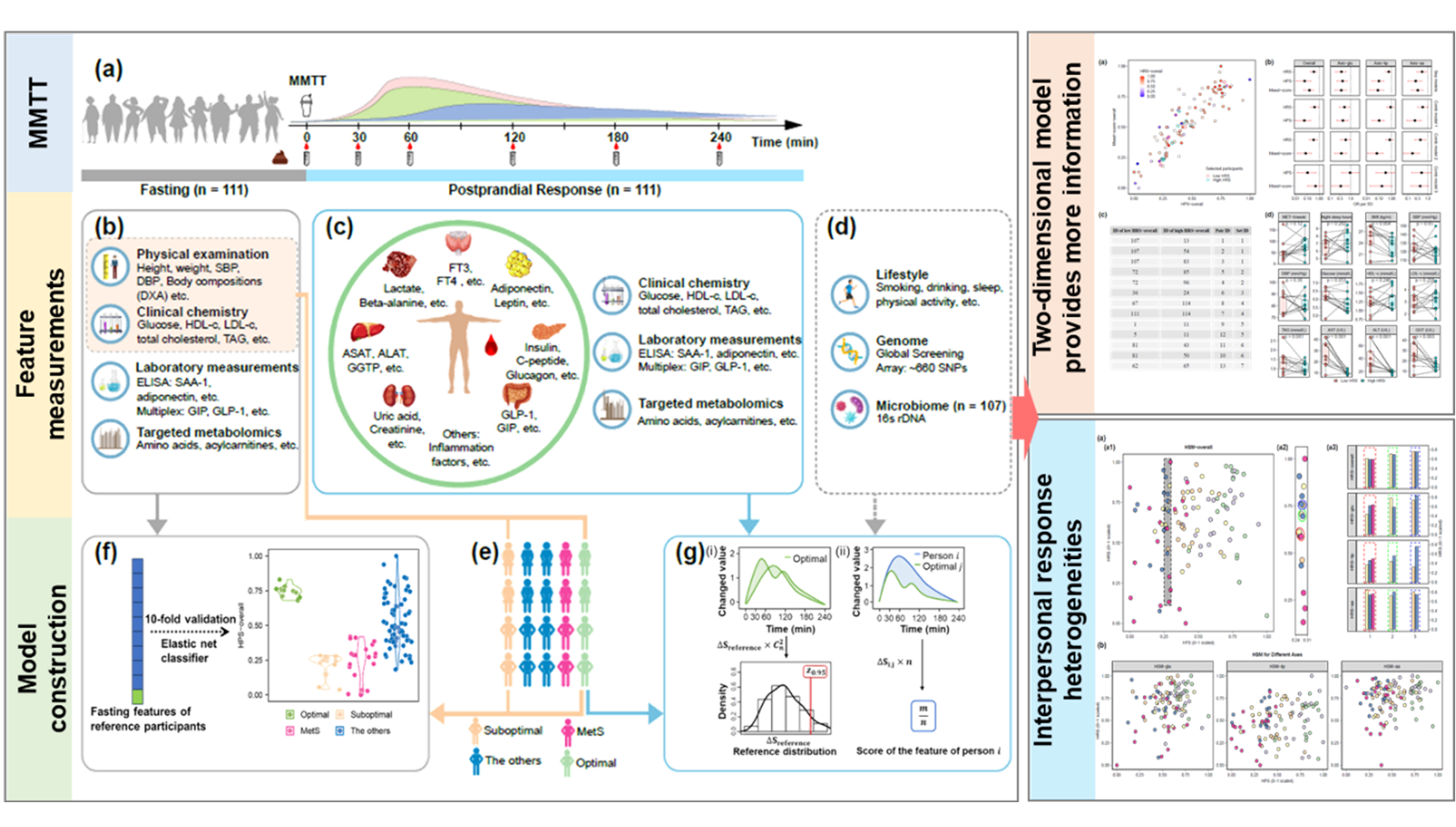 營養與健康所林旭團隊牽頭繪制二維“健康狀況圖譜”，在代謝健康評估方面取得開拓性進展