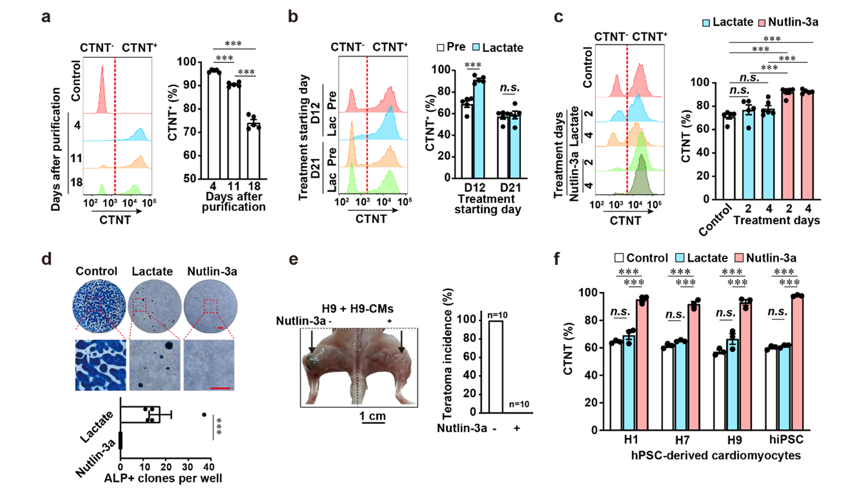 營養與健康所楊黃恬研究組建立簡便、高效的人多能干細胞分化的心肌細胞純化方法