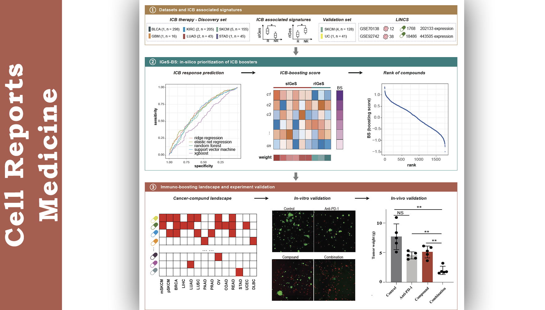 營養與健康所李虹研究組開發創新計算方法篩選可提升癌癥免疫治療療效的化合物